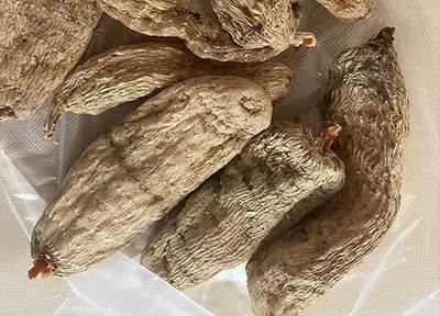 野生天麻的功效與作用及6種食用方法