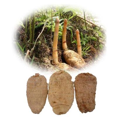 目前天麻價(jià)格