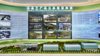 高質(zhì)量發(fā)展看漢中 | 天麻之城:略陽示范園展現(xiàn)中藥材的未來之路