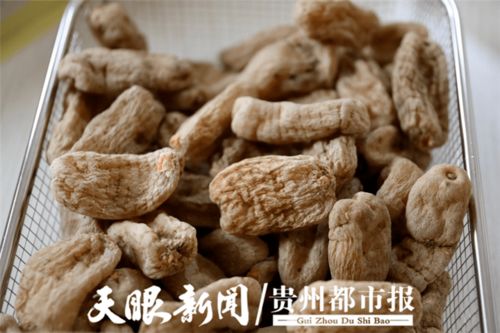 協(xié)與攜的變奏 黔貨出山進(jìn)軍營 溢出輻射效應(yīng)初顯